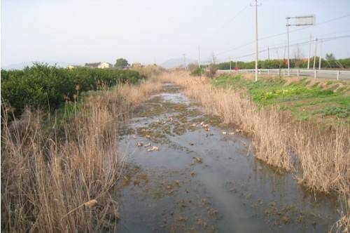 河道淤積