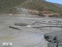  尾礦綜合利用  多用隆中重工尾礦干排篩